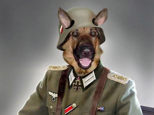 Алексей Романов