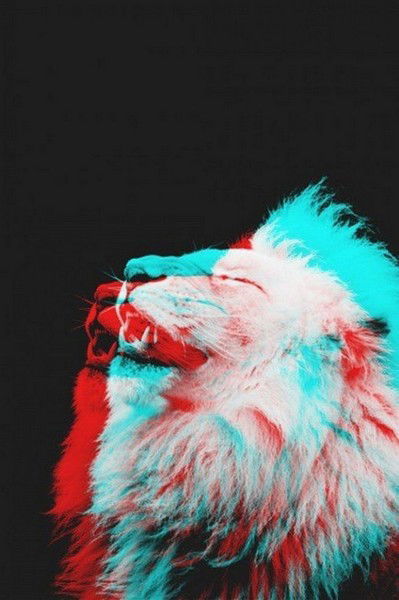 Cаша B1Ngo Волков