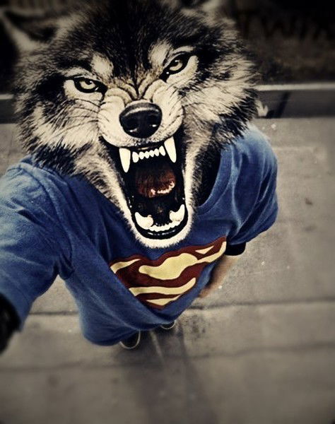 Кирилл Недобачий