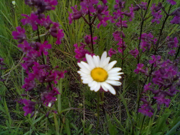 Румия Юскаева