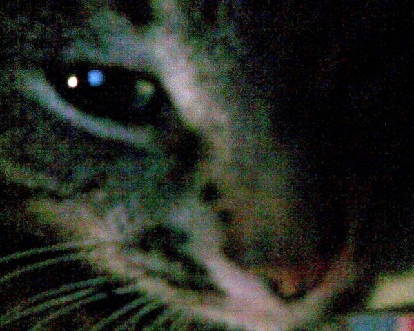 Aнна Молякова