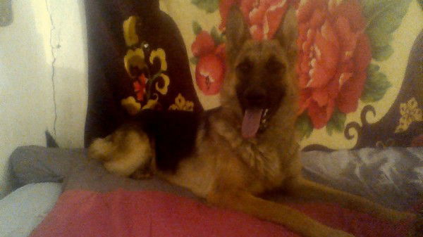 Светлана Бондаренко1