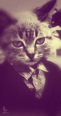 Евгения Аккерман