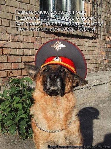 Дмитрий Рябов