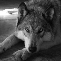 Марина Ефимова