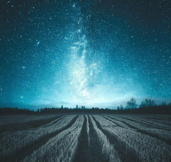 Алексей Спирин