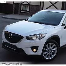 Дмитрий Гребнев