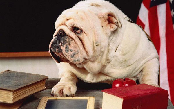 Андрей Шершнёв