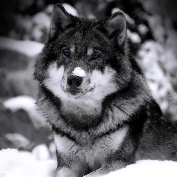 Никита Давыдюк