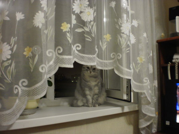 Надежда Работина