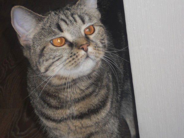 Татьяна Буранбаева