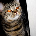 Татьяна Буранбаева