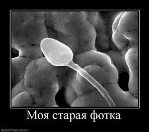 Алексей Панин