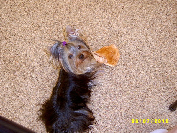 Лариса Ермилова