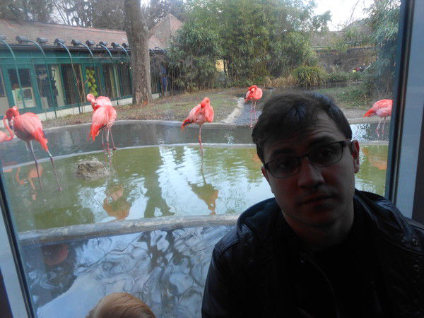 Пётр Зайцев