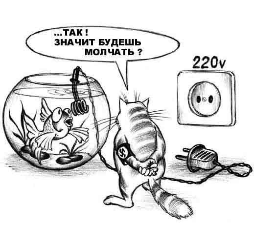 Миха Медведь