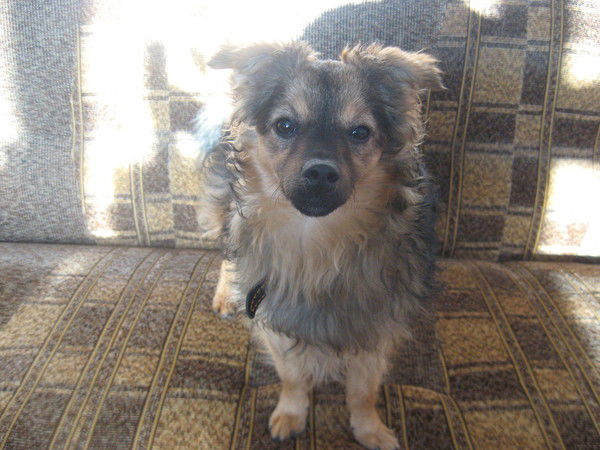 Светлана Плетнёва