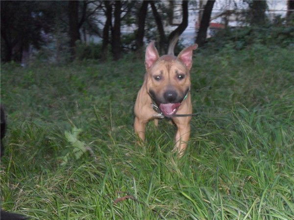 Марина Вашурина