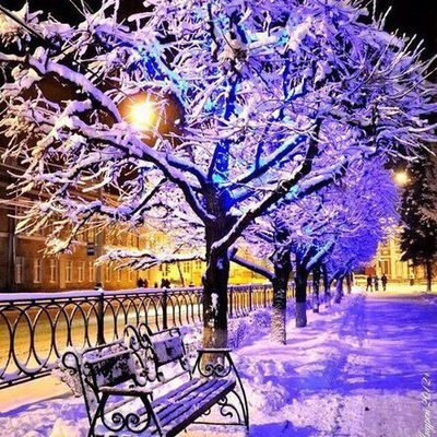 Айгуль Тулекенова