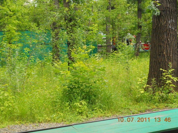 Дима Абрамов