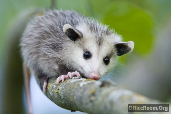 Катя Неизвестно