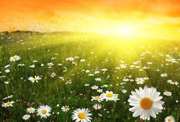 Наталия Орлова