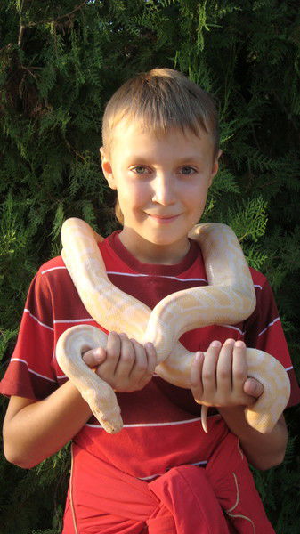 Даниил Фоменко