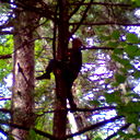 Сергей Осипов