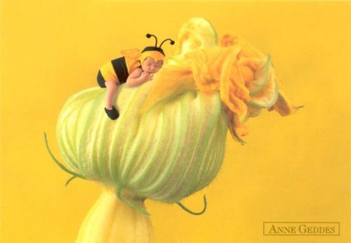 Виктория Алексеева