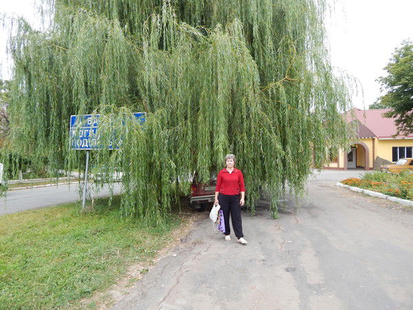 Н@т@лья Voevod@