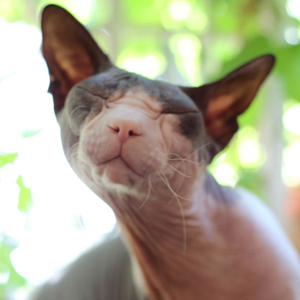 Игорь Григоренко