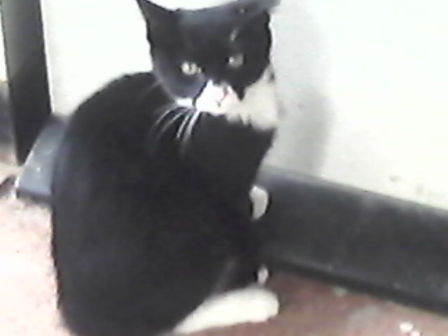 Саша Рязанцев