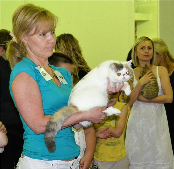 Елена Шестопалова