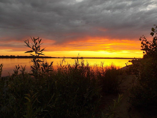 Татьяна Соколова