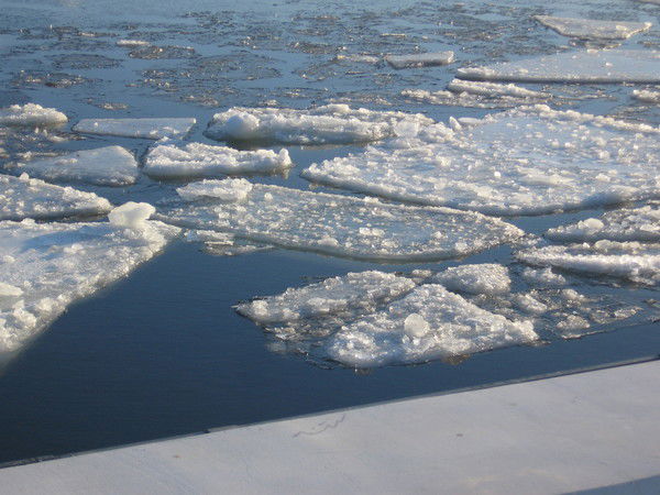 Тамара Колыбина