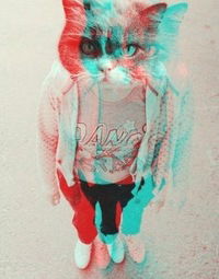 Денис Белый