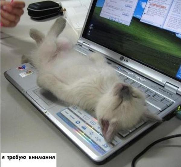 Анатолий Омельянов