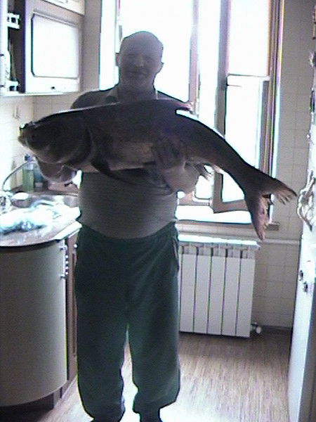 Лев Толмачев