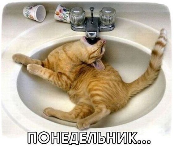 Александр 1