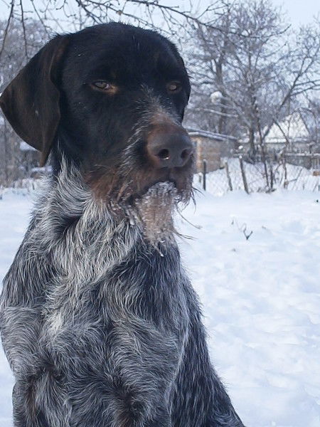 Иван Миронов