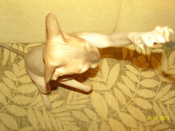 Слава Сударкин