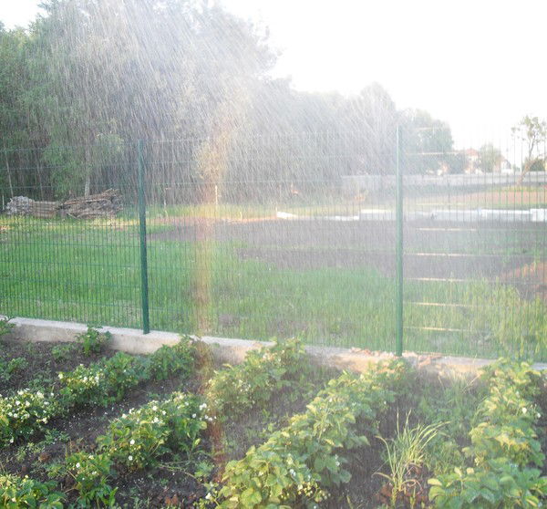 Наталия Тонгобаш