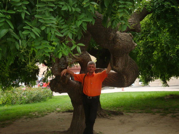 Геннадий Круглов