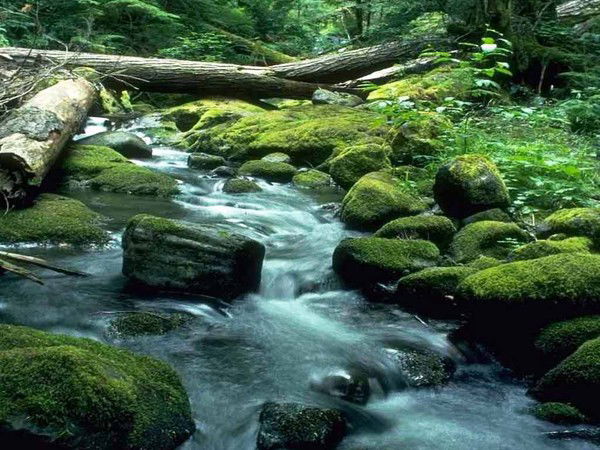 Айгуль Телеубаева