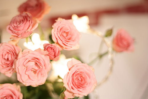 Юлия Бадретдинова