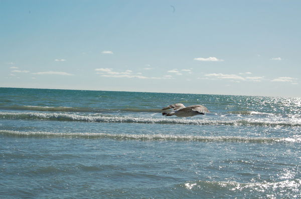 Aймагамбетов Адилхан