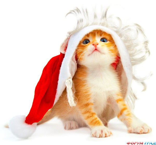 Наташа Власова