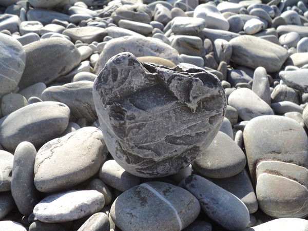 Маргарита Максимова