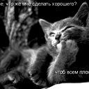 Юрий Иванов