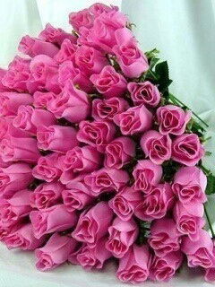 ****ока**** Орыналиева